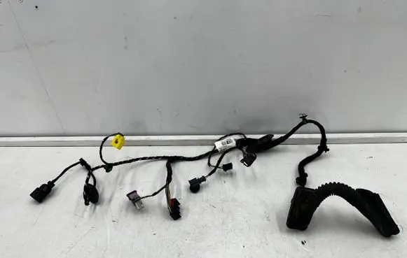 Volkswagen Tiguan Rear door wiring loom 5N2971121