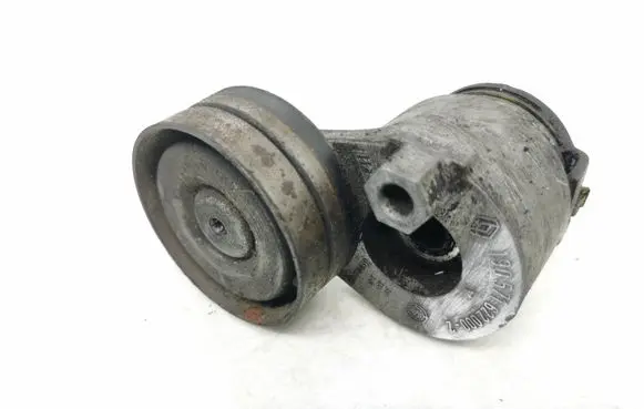 Suzuki Grand Vitara II Alternator belt tensioner 1905716220002