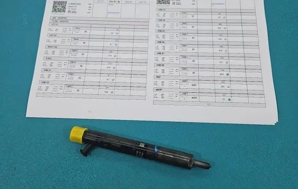 Renault Clio III Fuel injector EJBR05102D IMPRK1528464