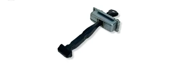 Renault Megane E-Tech Rear door check strap stopper 47497 824309483R
