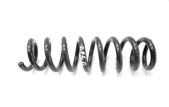 Rear coil spring
