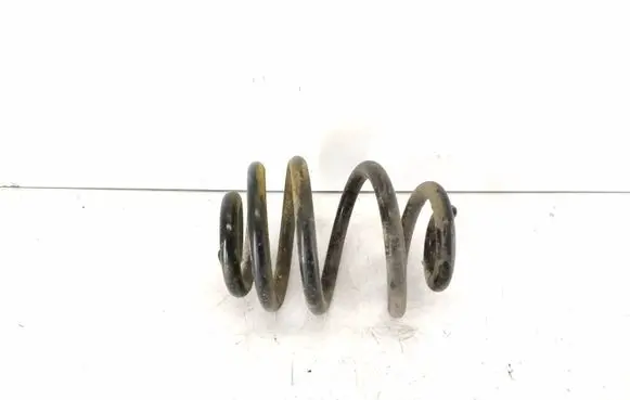 Rear coil spring