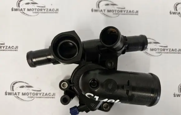 Thermostat/thermostat housing