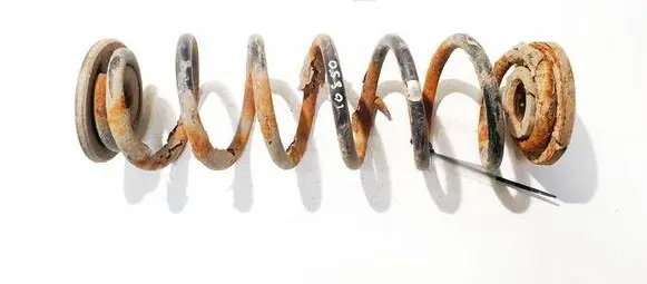 Volkswagen Golf V Rear coil spring 