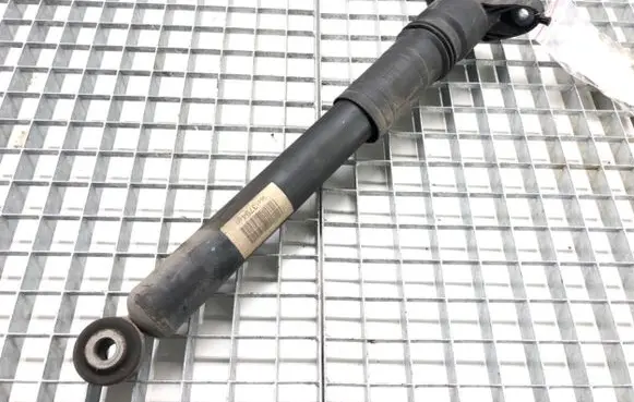 Citroen C4 III e-C4 Rear shock absorber/damper 9841379480