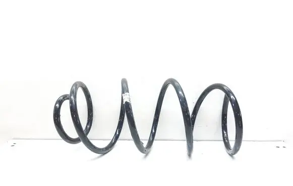 Front coil spring