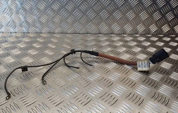 Citroen C5 Glow plug wires 9651843080