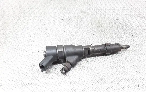 Fiat Ducato Fuel injector 9641742880