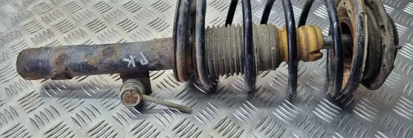 Citroen Xsara Picasso Front shock absorber with coil spring