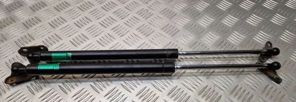 Lexus RX 330 - 350 - 400H Tailgate/trunk strut/damper 2BI01TED0