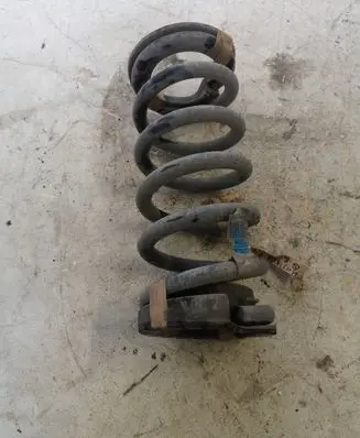 Ford Mustang VI Rear coil spring Fr3c5560bc