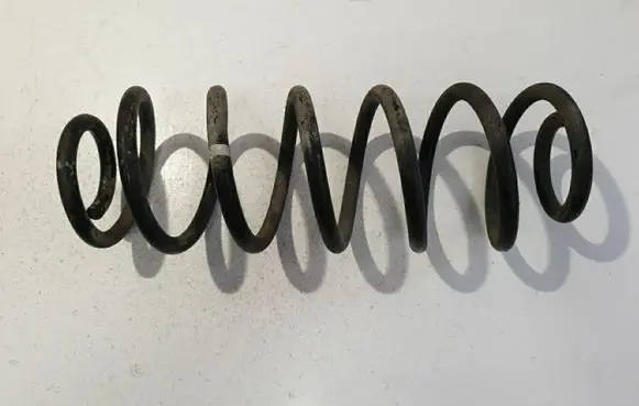 Rear coil spring