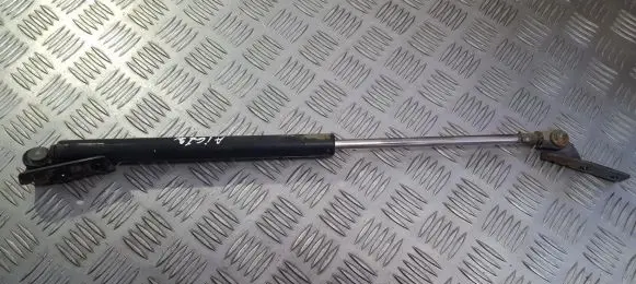 Tailgate/trunk strut/damper