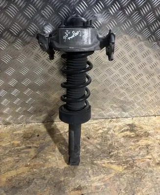 Porsche Cayenne (92A) Rear shock absorber with coil spring 95833305100