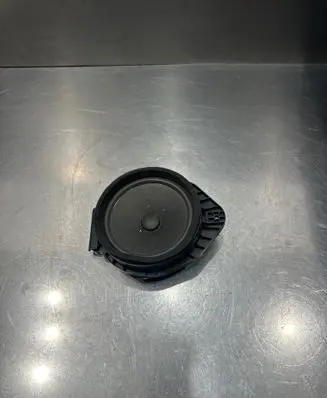 Opel Insignia A Front door speaker 5234