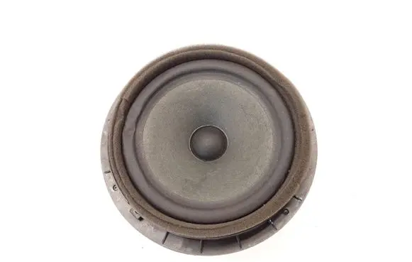 Rear door speaker