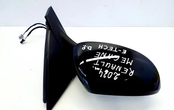 Renault Megane E-Tech Front door electric wing mirror 25395002