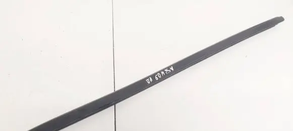 Mitsubishi Carisma Front door glass trim molding 