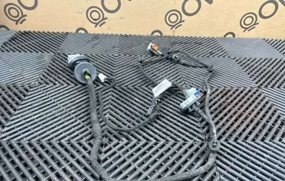 Peugeot 3008 II Rear door wiring loom 9829074380