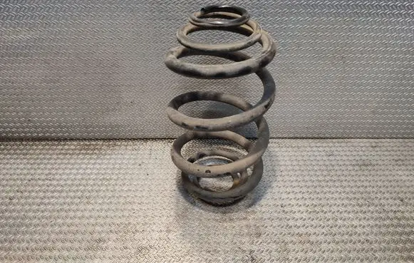 Renault Trafic II (X83) Rear coil spring