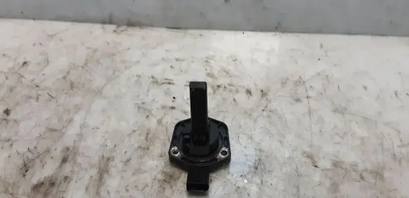 Audi Q7 4L Oil level sensor 06E907660 6PR008079