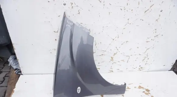 Peugeot 4007 Fender