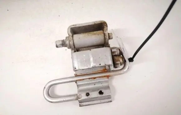 Rear door lower hinge