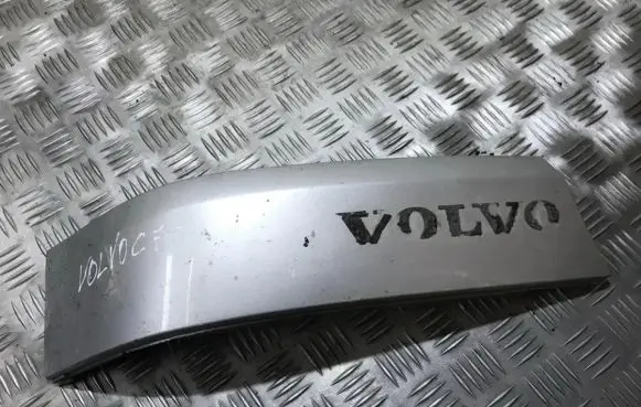 Rear/tail light trim molding