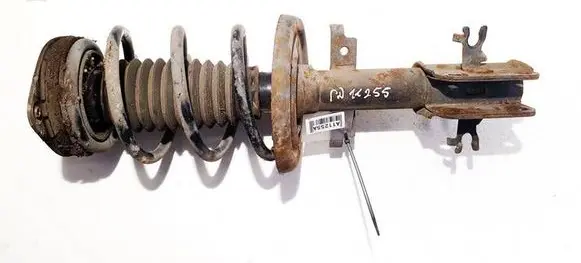 Renault Laguna III Front shock absorber/damper 