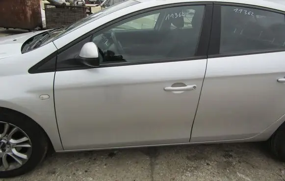 Fiat Bravo Front door 