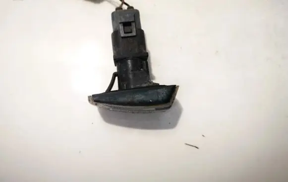 Front fender indicator light