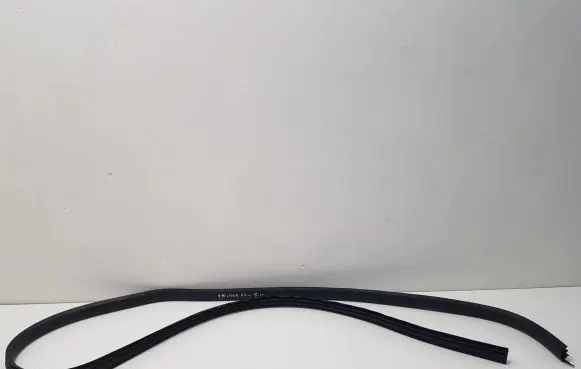 Rear door rubber seal (on body)