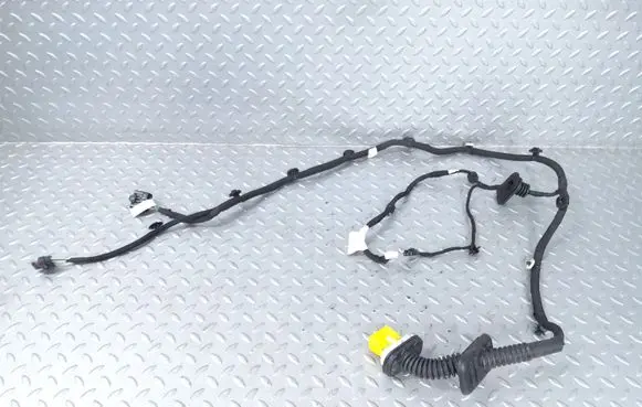 Citroen C4 III e-C4 Rear door wiring loom 9840756780