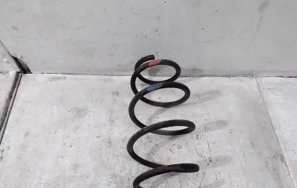 Front coil spring