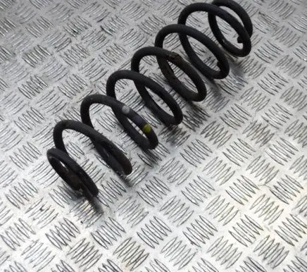 Volkswagen Tiguan Rear coil spring