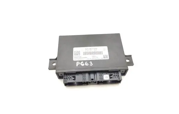 Porsche Taycan 9J1 Engine control unit/module 9J1907522