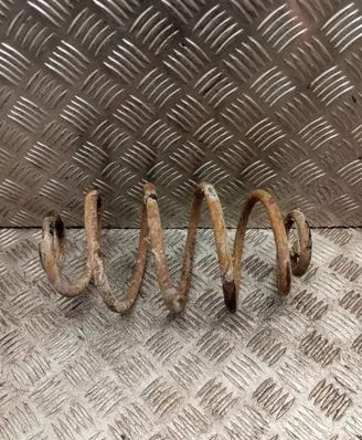 Rear coil spring