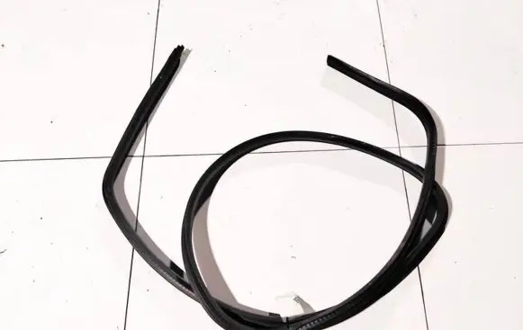 Ford Focus Rubber seal front coupe door 