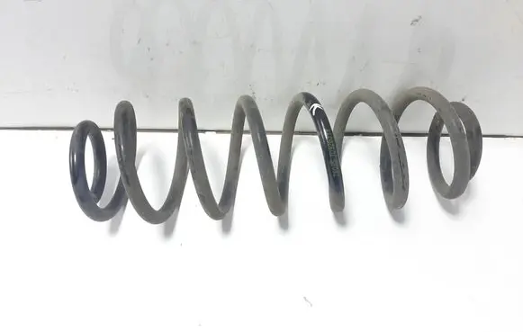 Rear coil spring
