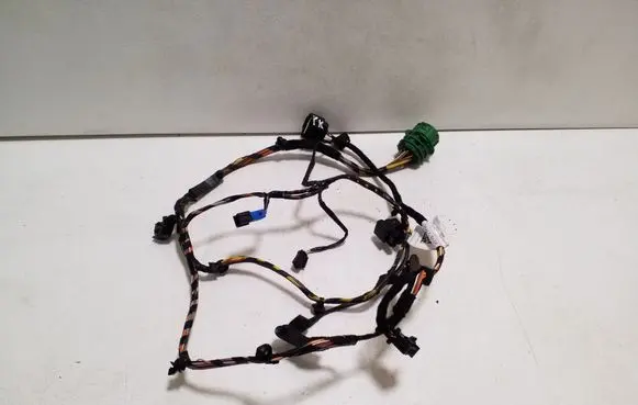Front door wiring loom