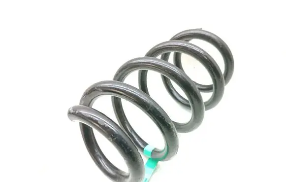 Rear coil spring