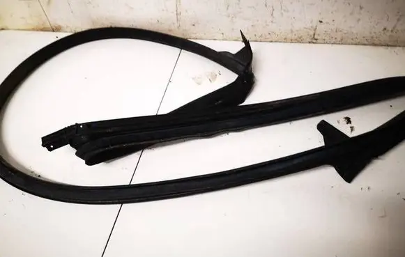 Tesla Model 3 Rubber seal rear door 