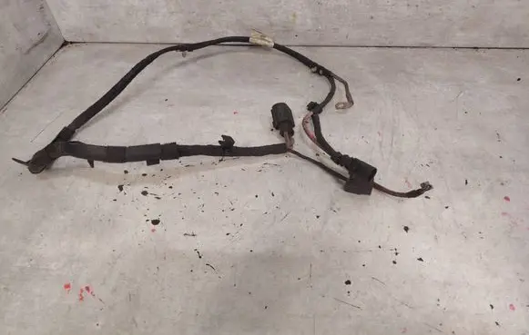 Volkswagen PASSAT B7 Other wiring loom 3C1971111AC
