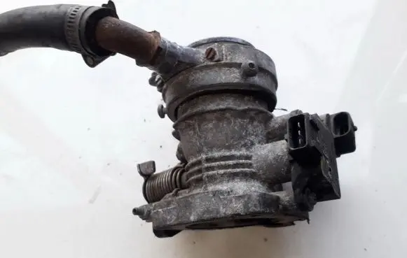 Renault Scenic I Throttle valve 029801 41665