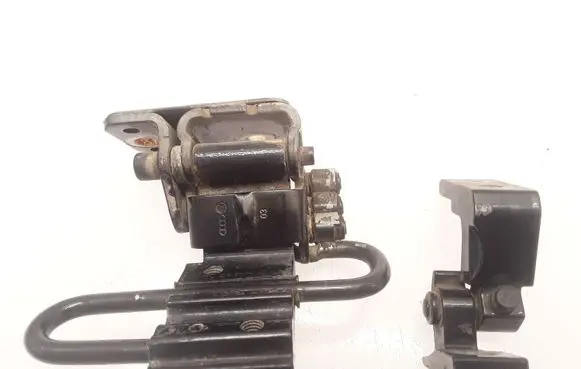 Audi A8 S8 D3 4E Rear door hinge set 