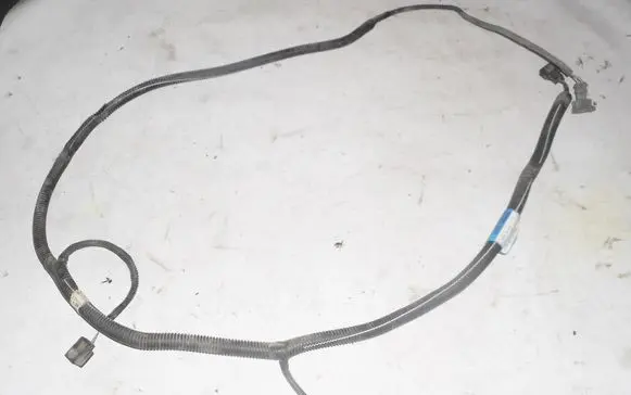 Renault Laguna III Other wiring loom 20103466
