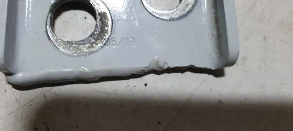 Rear door lower hinge