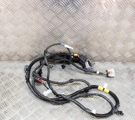 Tesla Model Y Other wiring loom 248905901A
