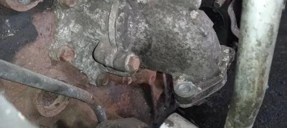 Nissan Primera Engine coolant pipe/hose