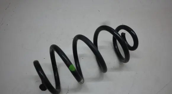 Rear coil spring